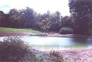 View of the pond looking east